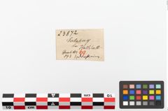 Etiketten zu Bronzering (NHMW-PRAE-023872)